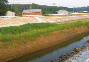 日置川河川改修及び県道俵原青谷線道路改良合併工事(2工区)